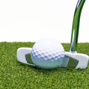 Premier Golf Putting Green 19mm